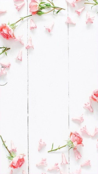 Красивый фон для сторис