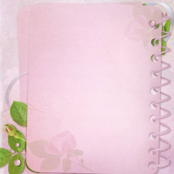 Подложки для портфолио