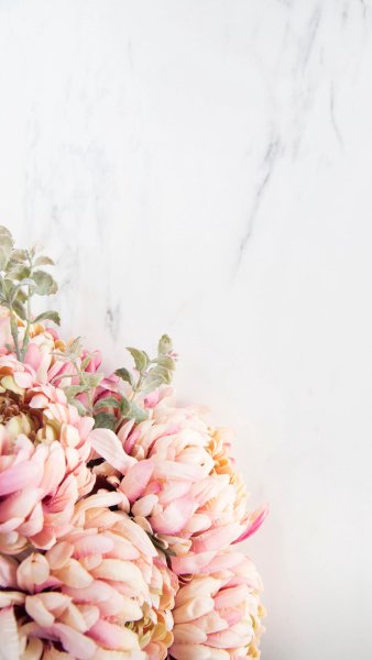 Фон для сторис