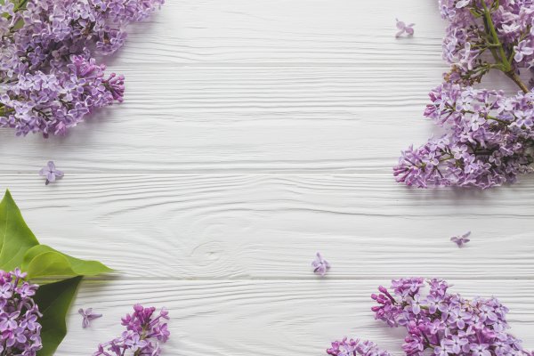 Сирень на деревянном фоне