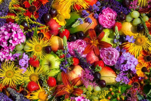 Цветы фрукты ягоды