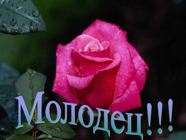 Открытка молодец