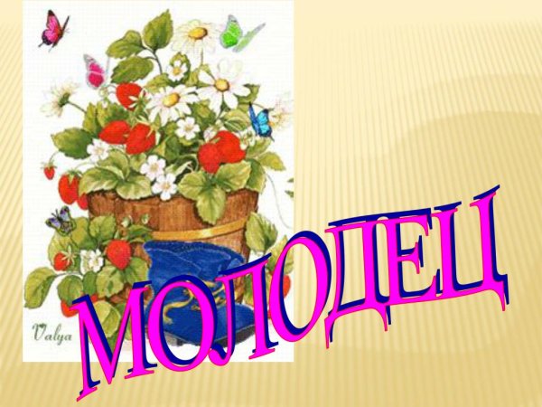 Молодец с цветами