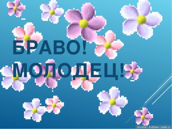 Браво молодцы