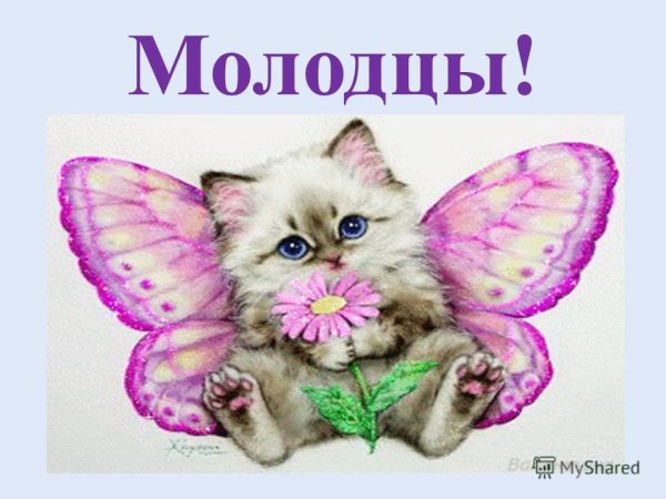 Молодцы девочки картинки