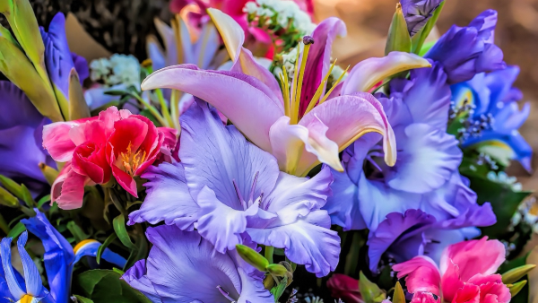 Красный цветок