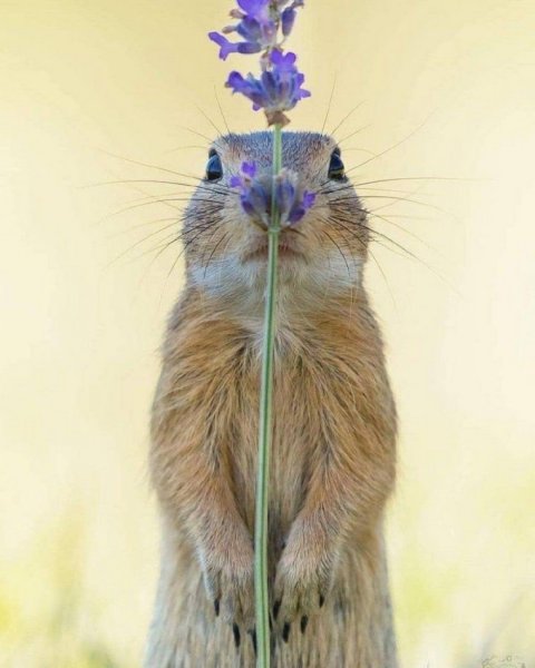 Джулиан рад фотограф из Австрии