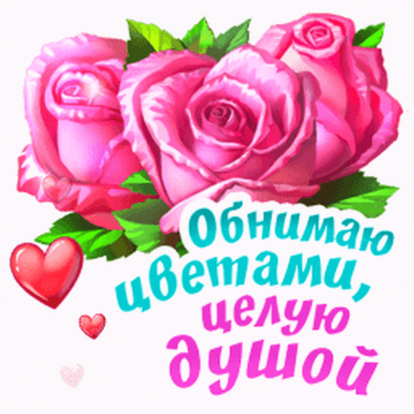 Открытки целуем и обнимаем