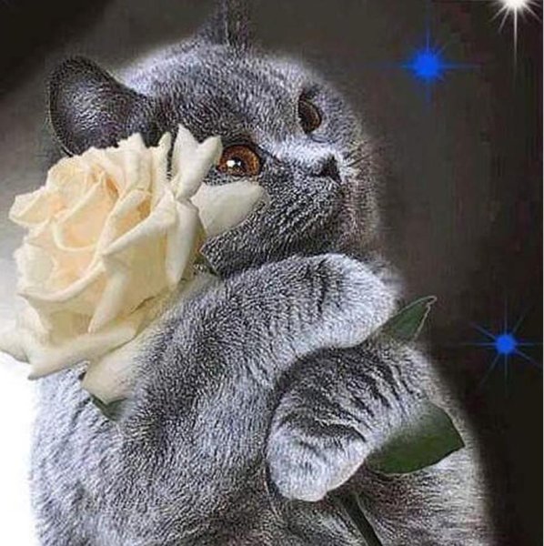 В нежных объятьях