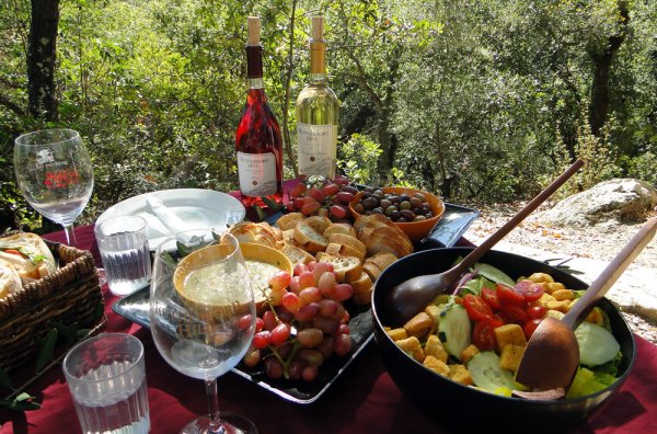 Шашлык и вино на природе