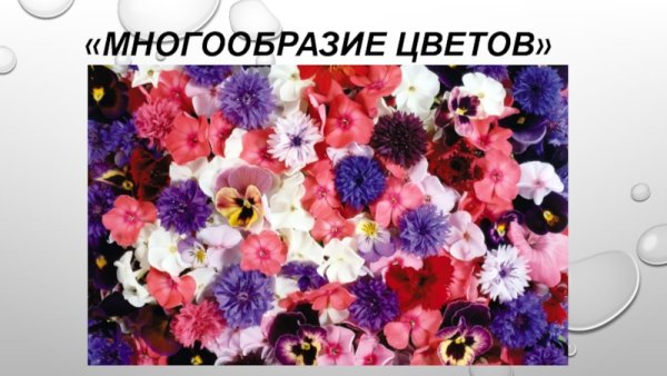 Разнообразные растения