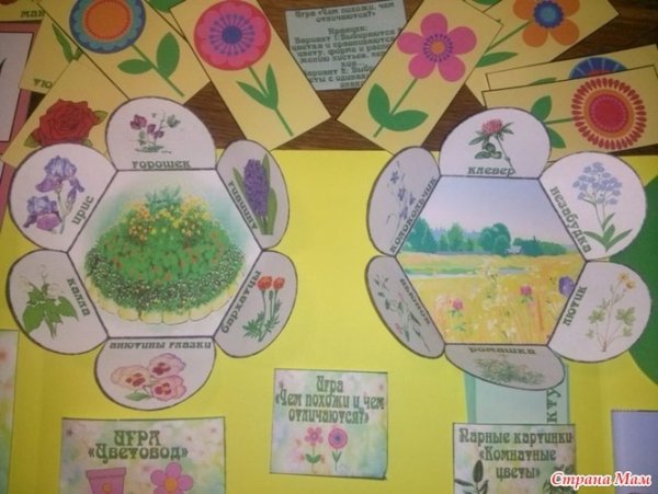 Цветочек для лэпбука