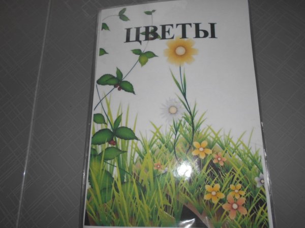 Лэпбук цветы