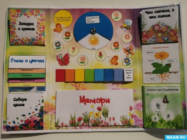 Лэпбук на тему растения