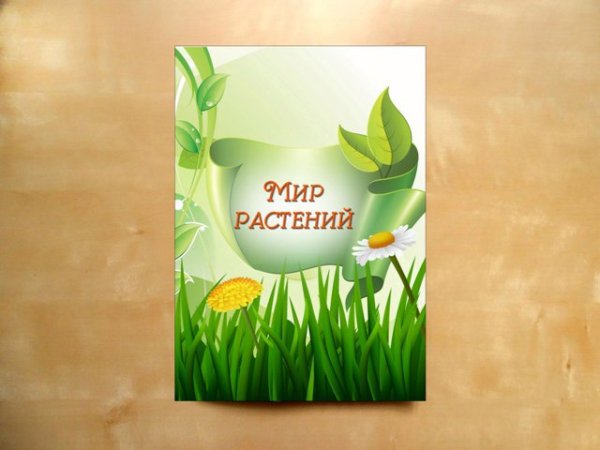 Лэпбук цветы