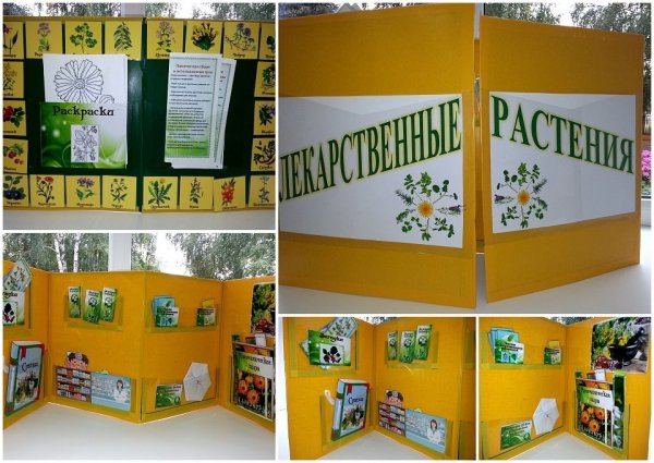 Лэпбук растения для детского сада