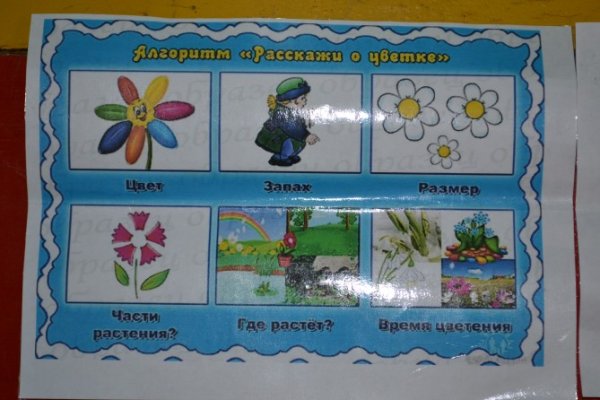 Цветок для лэпбука