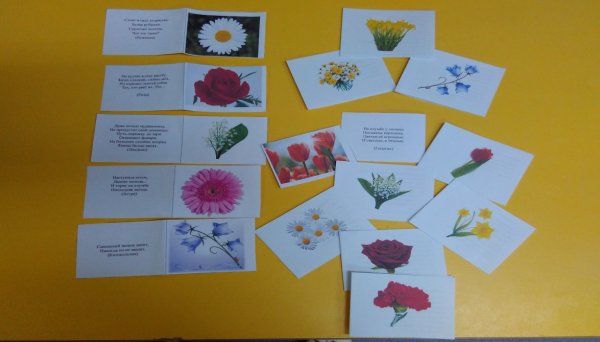 Идеи для лэпбука