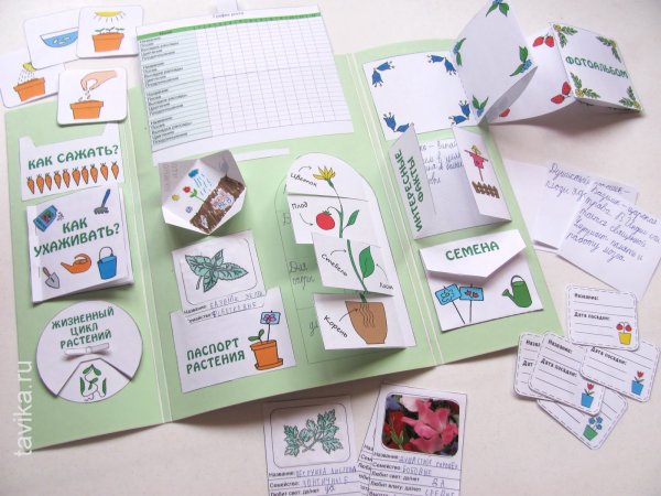 Лэпбук цветы