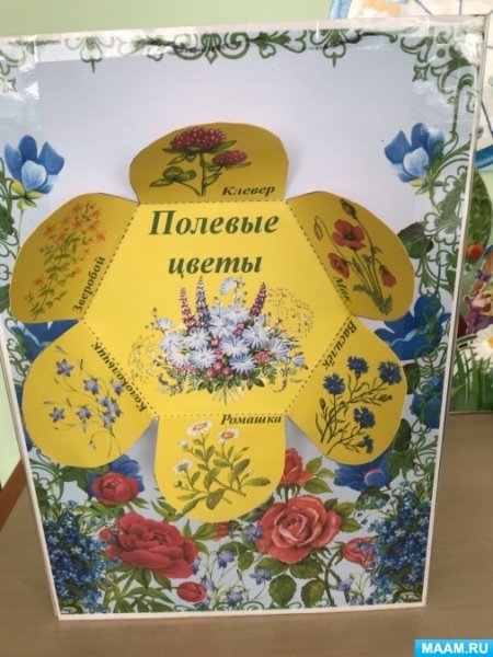 Лэпбук огород