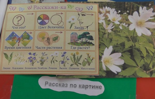 Трафареты кармашков для лэпбука