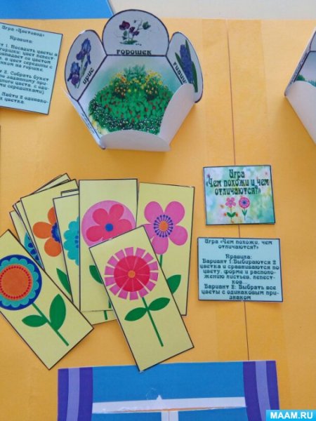 Лэпбук растения