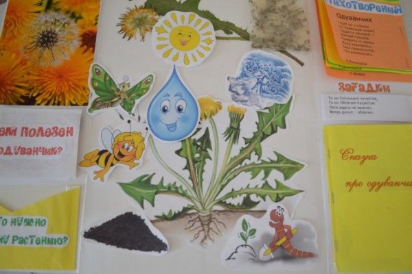 Закладки для книг шаблоны