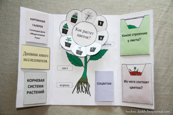 Лэпбук огород на подоконнике в детском