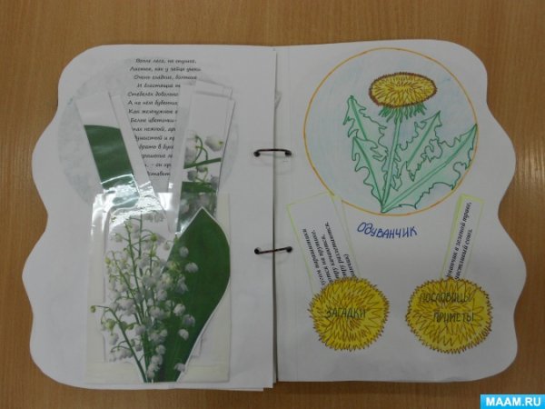 Карточки цветком для лэпбука