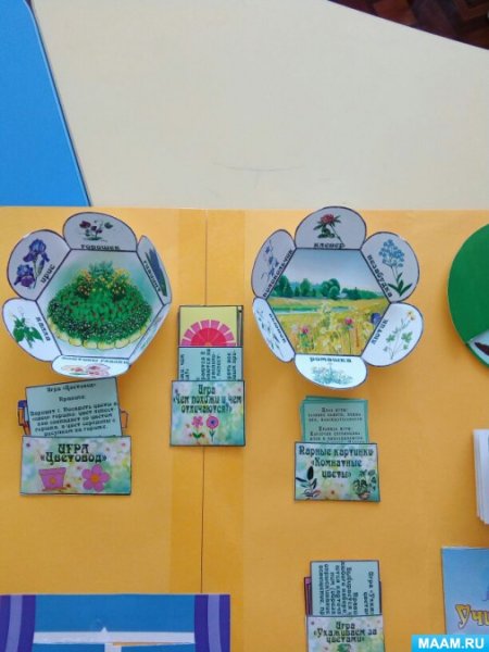 Весенние цветы для лэпбука