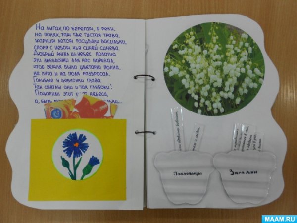 Лэпбук огород на подоконнике