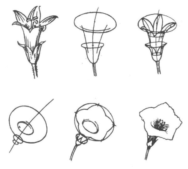 Вытащить картинки из pdf