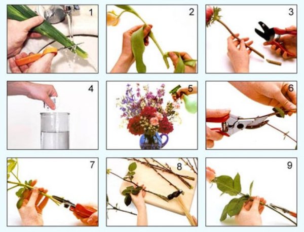 Космея фоамиран мастер класс