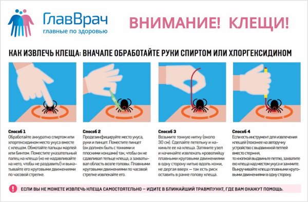 Схемы цветов из гофрированной бумаги