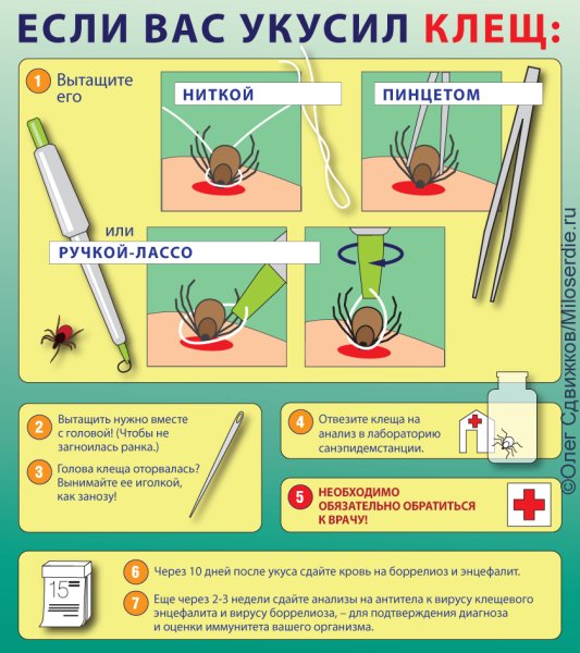 Как вставить картинку в картинку в Ворде