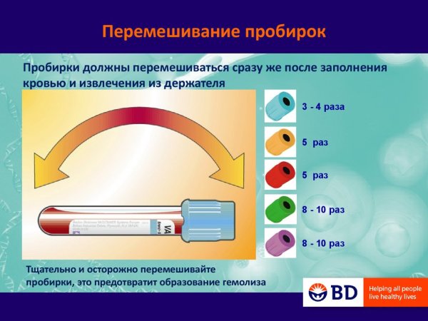 Этапы технологии трансплантации эмбрионов