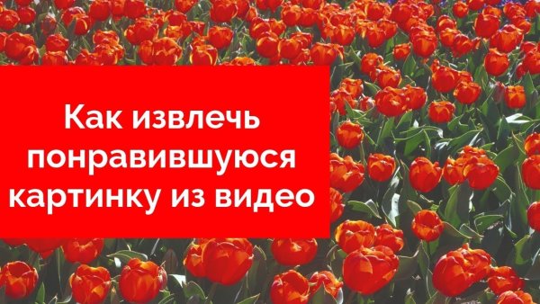 Актуальность интерьера