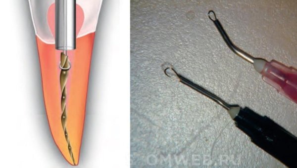 Экстракция растворителями эфирных масел