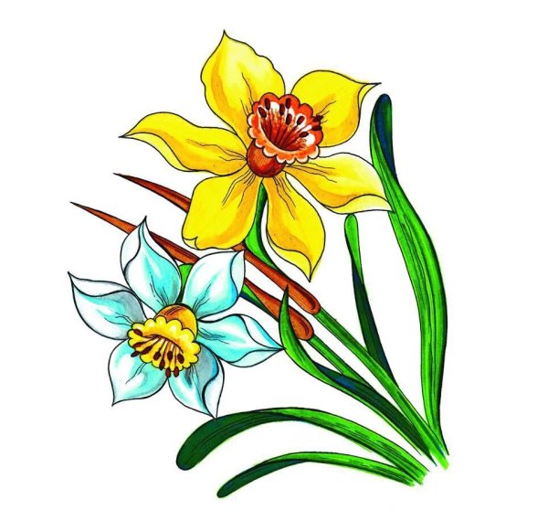 Цветы картинки нарисованные