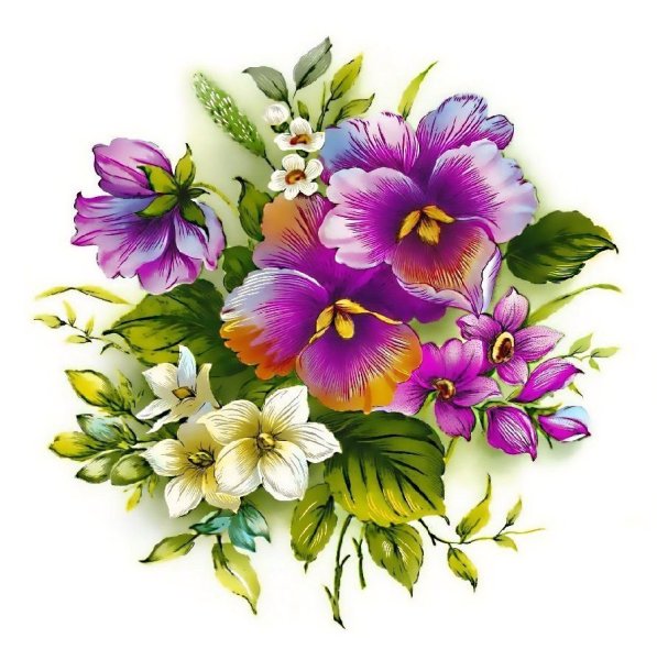 Цветы рисунок