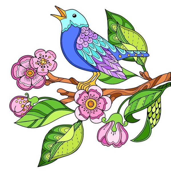 Птица рисунок