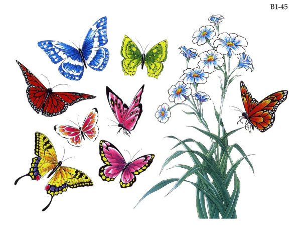 Бабочки цветочки