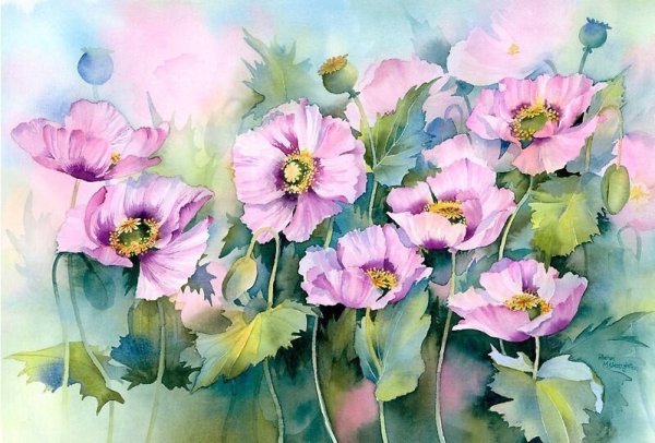 Акварели Рэйчел МАКНОТОН