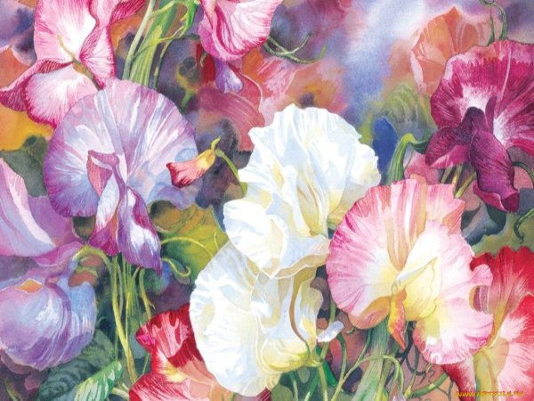 Darryl Trott художник