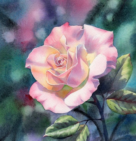 Барбара Фокс розы