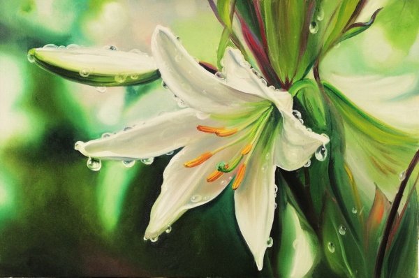 Лилия Ольга Базанова