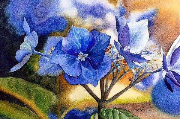 Акварели Марни Вард Marney Ward