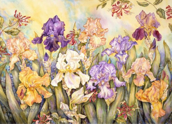 Художник-акварелист Carole Andrews