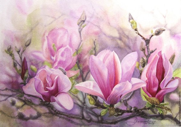 Магнолия Суланжа акрил холст