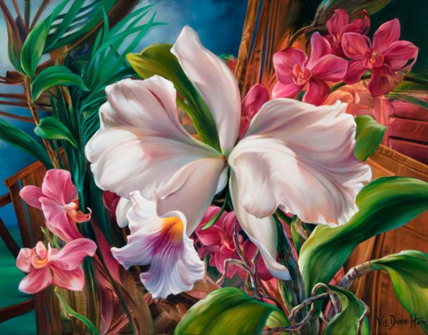 Картины ви Данн Харр